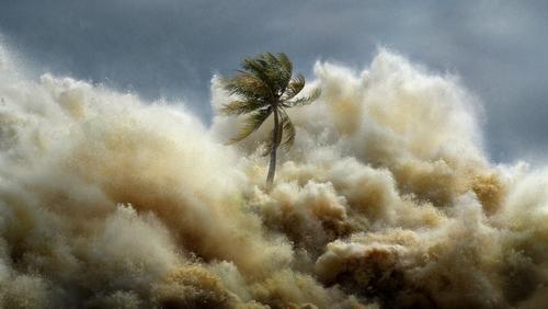 Tsunami: Kıyamet Dalgaları 1. Sezon 2. Bölüm